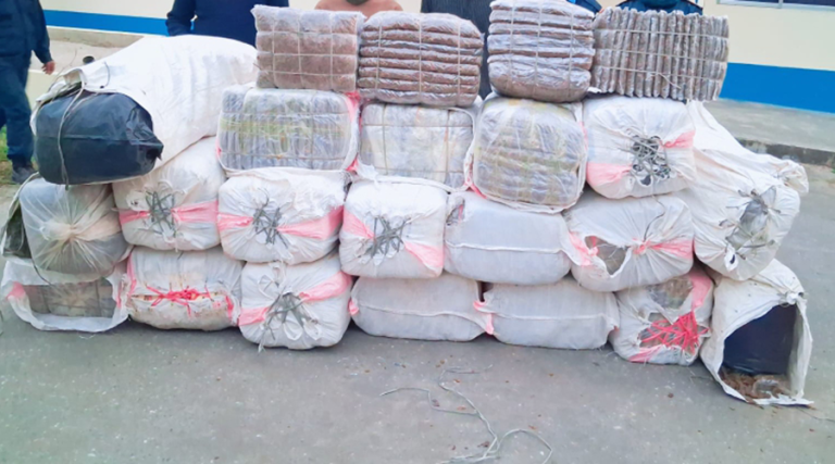 उदयपुरमा ७५० किलो गाँजासहित दुई जना पक्राउ