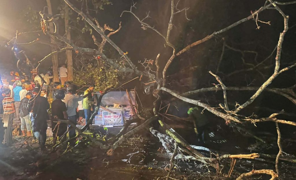 हुरीले ढालेको रुखले लियो दुई ज्यान, एक बालिकाको ४० मिनेटपछि जीवितै उद्धार